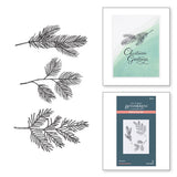 BetterPress Christmas Collection - Evergreen Branches Press Plates