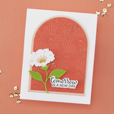 BetterPress Society - February 2026 - Radiant Blooms Press Plate & Die Set