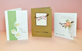 Shaping Kit and Small Tattered Florals Die Set by Tim Holtz