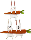 Tim Holtz Carrot Bunny Thinlits and 3-D Woven Textured Embossing Folder - 2 Items