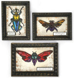 Tim Holtz Sizzix Geometric Bundle - Geo Springtime and Geo Insects Thinlit Sets - 2 Items